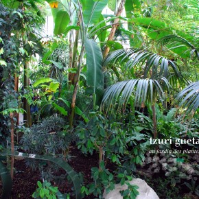LES SERRES DU JARDIN DES PLANTES LES SERRES DU JARDIN DES PLANTES