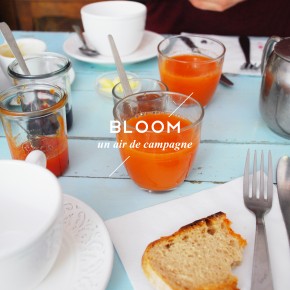 BLOOM BLOOM