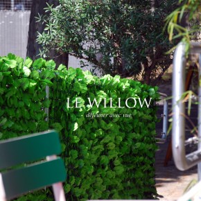 WILLOW WILLOW