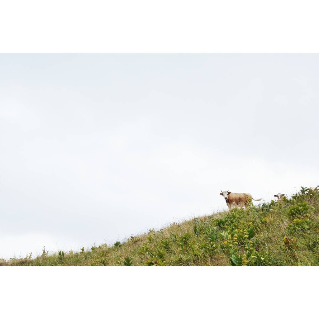 hellip Lire la suite