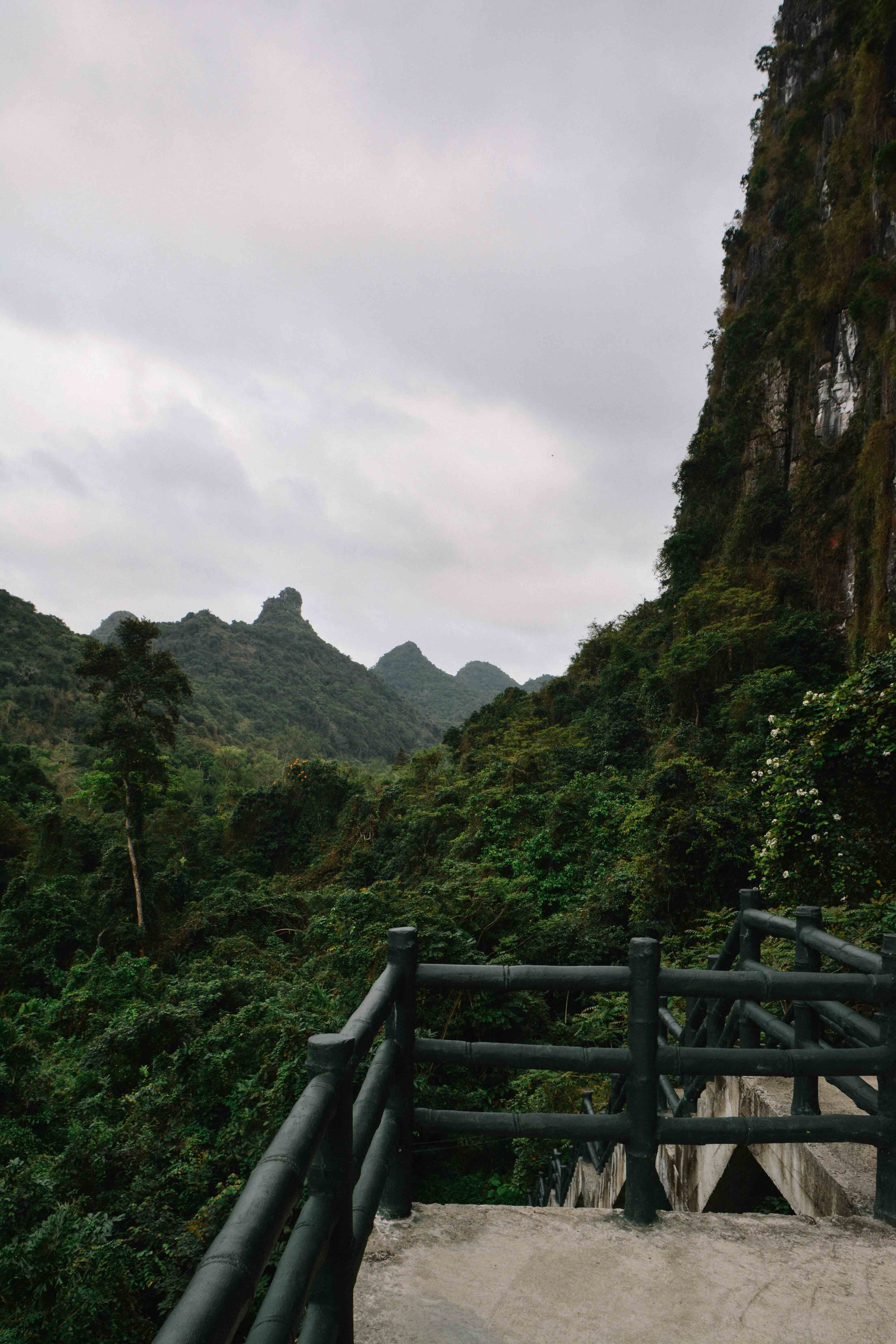 voyage au vietnam avec une croisière sur la baie d'Ha Long