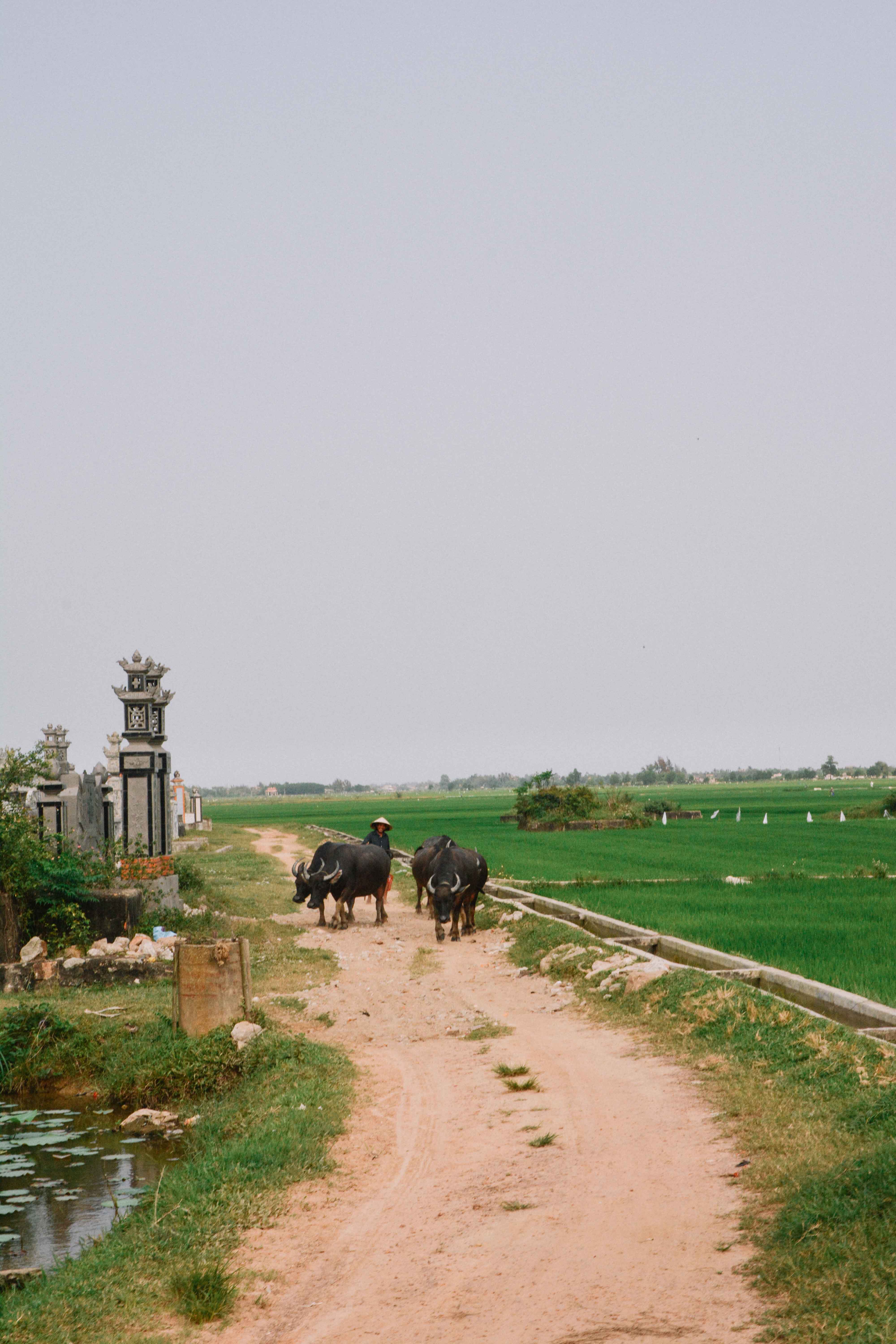 dans les alentours de Hué au Vietnam