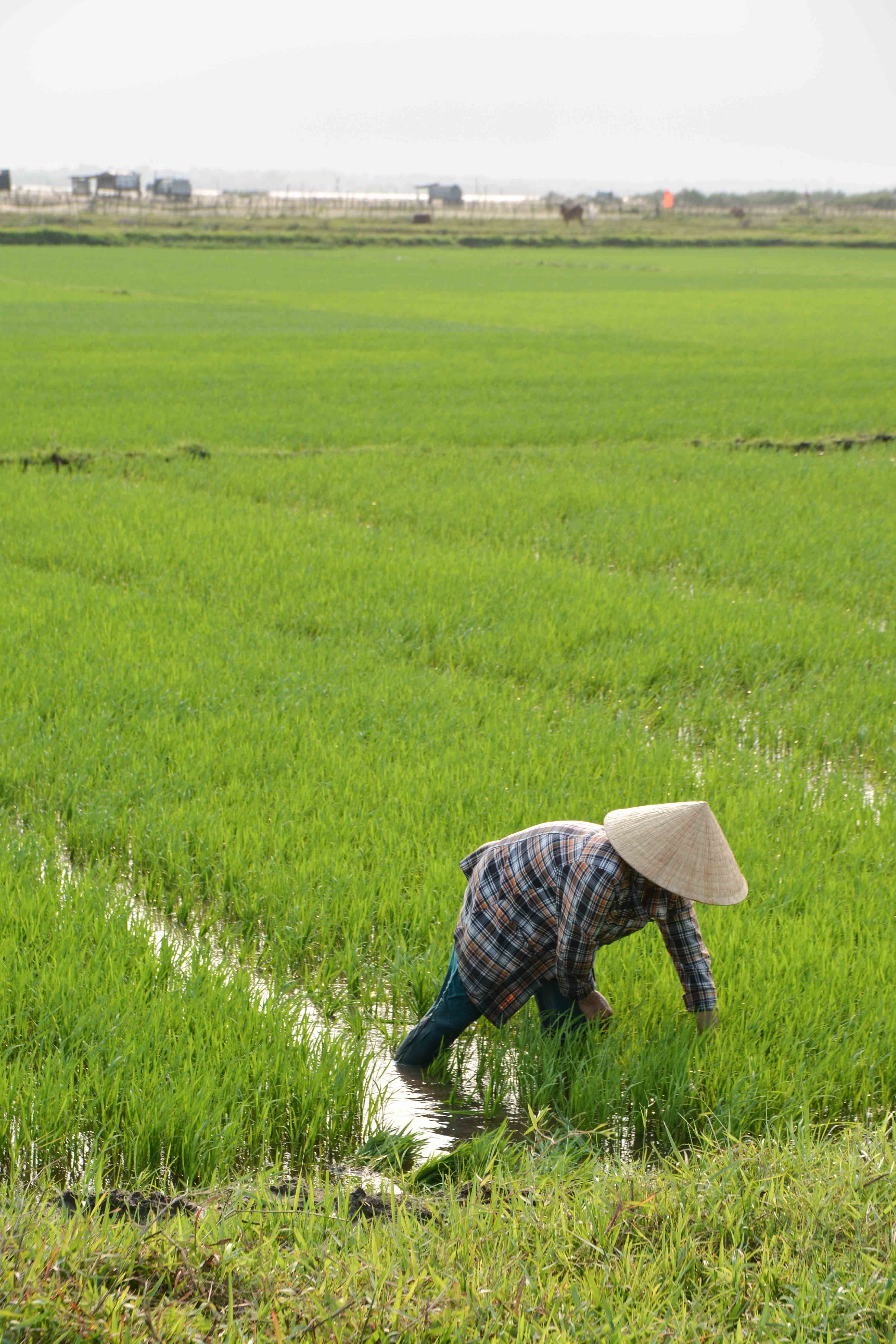 dans les alentours de Hué au Vietnam