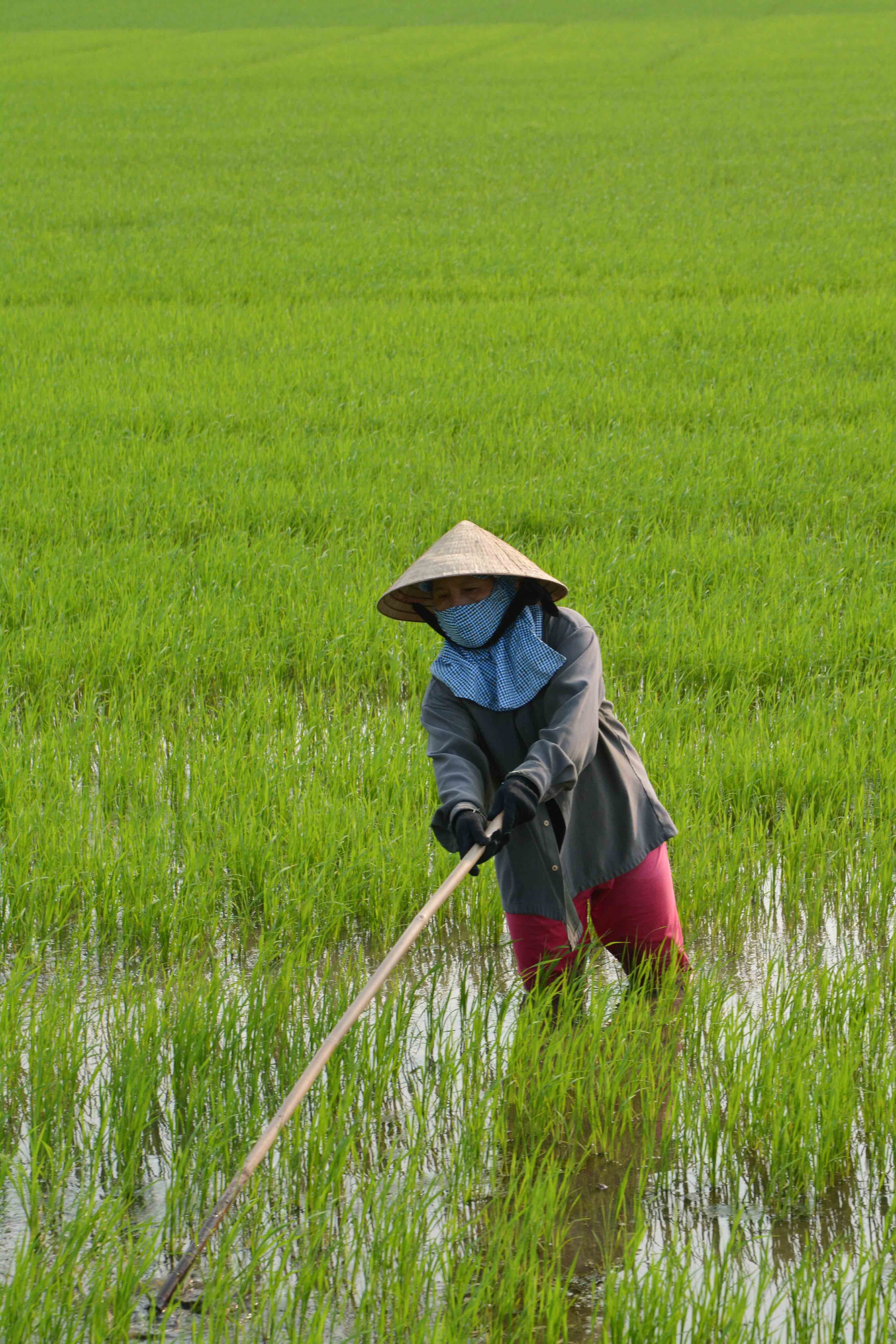 dans les alentours de Hué au Vietnam