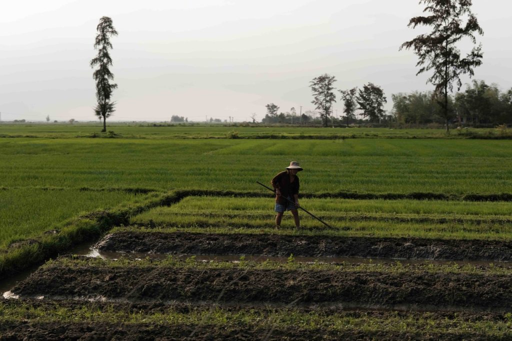 dans les alentours de Hué au Vietnam