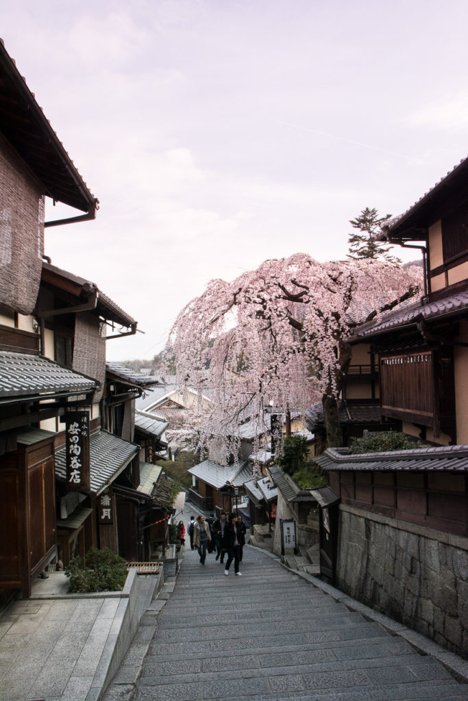 Hanami : Les 15 endroits où voir les cerisiers en fleurs à Kyoto, Japon ...